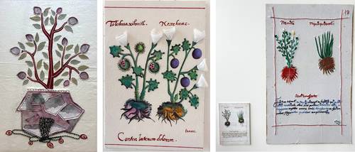 Observan con mirada creativa manuscrito prehispánico sobre plantas medicinales