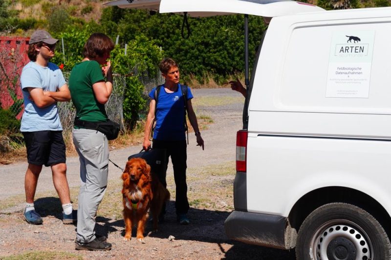 Generalitat colabora en el adiestramiento de perros rastreadores – Valencia News