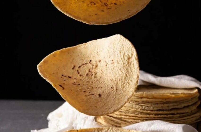Recomiendan tortilla de maíz para la dieta del verano – Excélsior