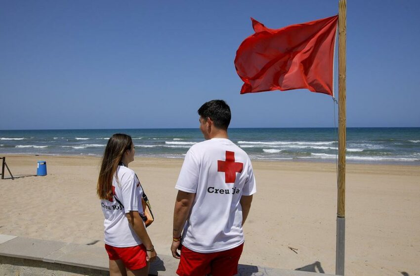  Medio Ambiente intensifica el control de la calidad del agua en las playas con 4.800 …
