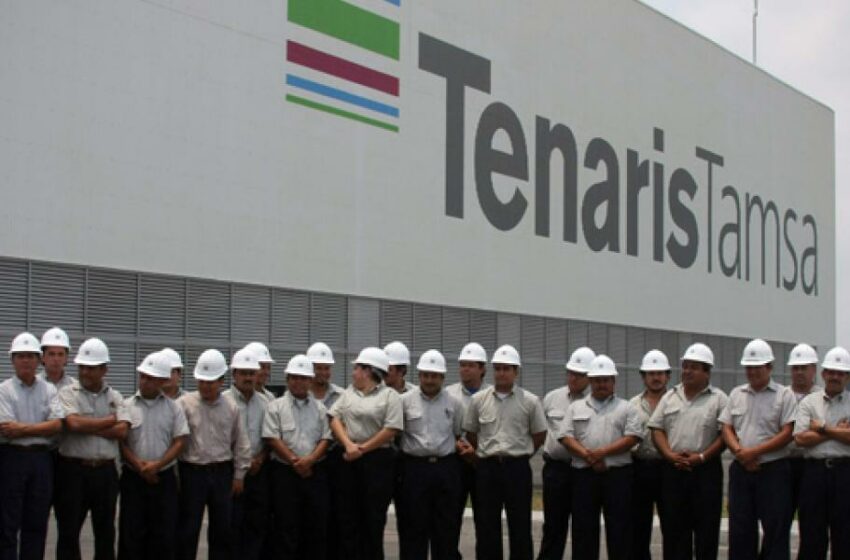 Tenaris va por su segundo parque eólico en Argentina