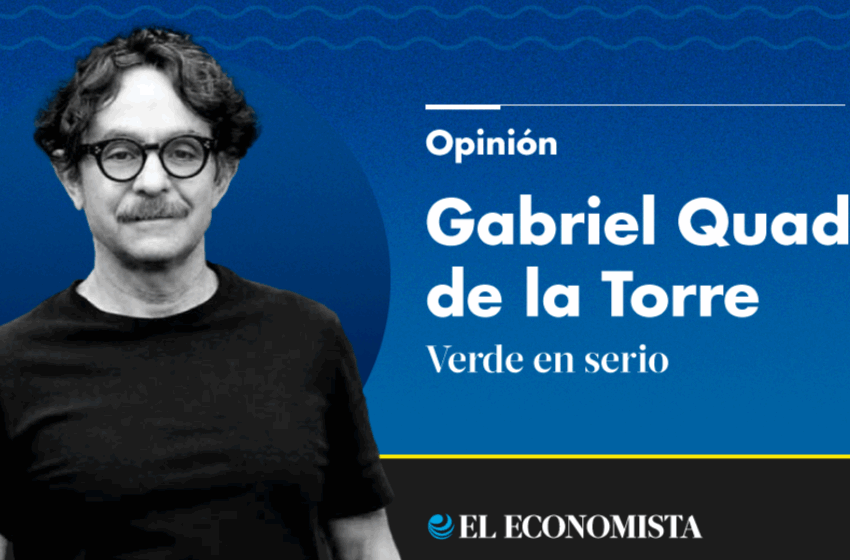 Esperanza para los océanos – El Economista