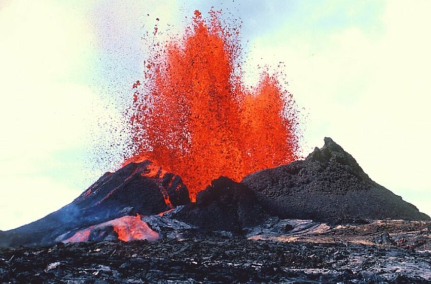 Un nuevo método para anticiparse a las erupciones volcánicas: los árboles