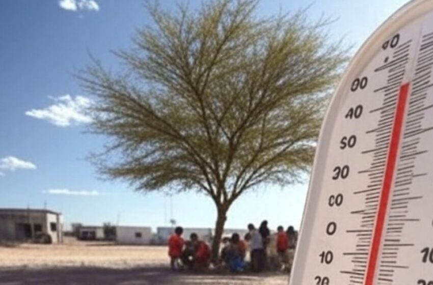 Canícula 2025: ¿Cuáles son los estados que serán azotados por el calor extremo?