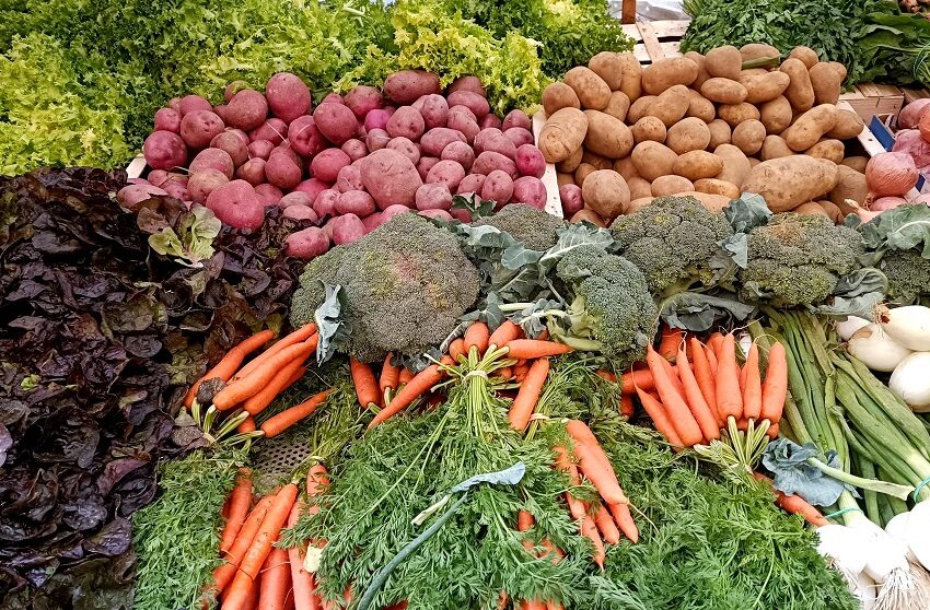 Sin medio ambiente no hay alimentos. Por Máximo Torero Cullen (Economista jefe de la FAO)