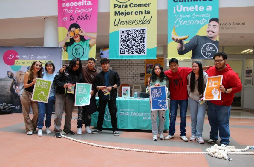  Igualdad Animal: Lanzan guía de alimentación compasiva para universitarios