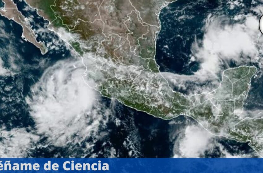 Alerta meteorológica en México: se forma zona de baja presión en el Pacífico con 80% de …