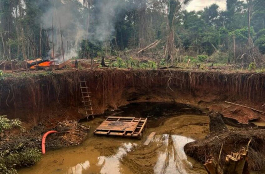 Minería ilegal supera el presupuesto para combatir la inseguridad – Rumbo Minero