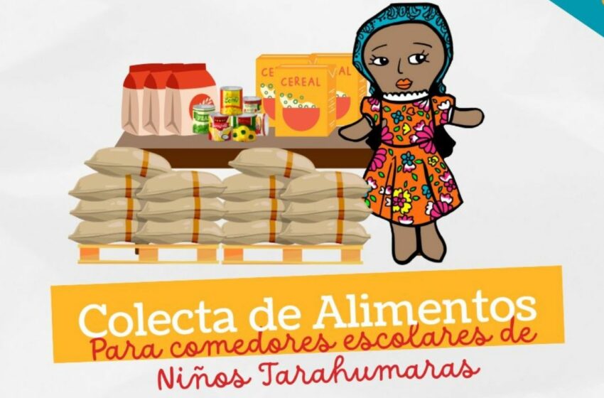 Colectivo Tarahumara Sinaloense invita a Guasave y Ahome a donar alimentos – Ríodoce
