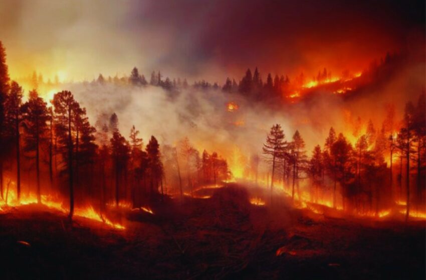 La extinción que no fue: Por qué Sudamérica resistió cuando el resto del mundo colapsaba