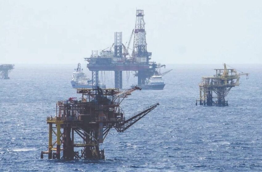 Ambientalistas piden al gobierno creación de Zona de Salvaguarda en el Golfo de México