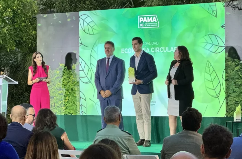 Innovación en reciclaje solar: una planta capaz de recuperar el 99% de materiales de …