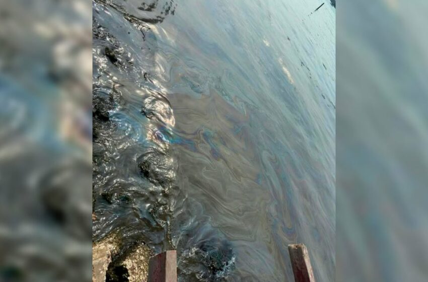 Pemex ofrece compensar con combustible a pescadores afectados por derrame en Paraíso …