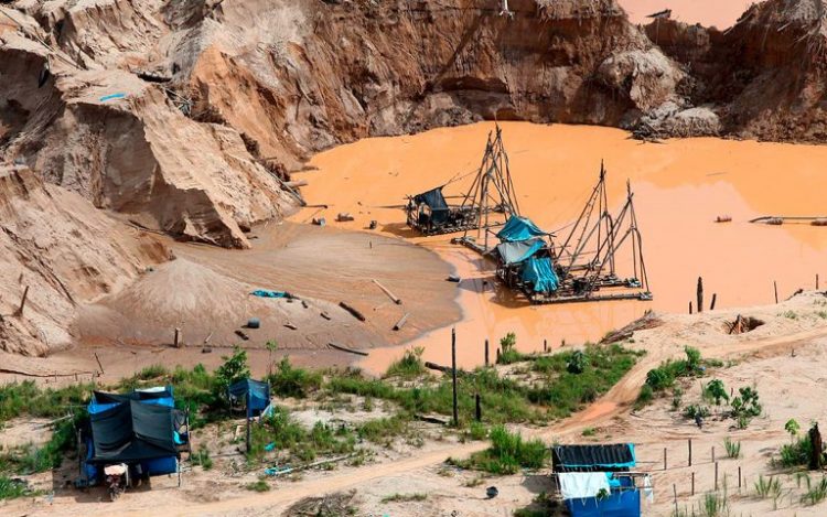 Perú impulsa la recuperación de suelos amazónicos contaminados por minería ilegal con …