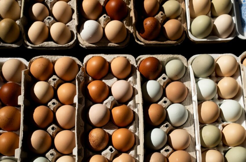 EU retira 20 millones de huevos en Walmart por casos de salmonela – El Financiero