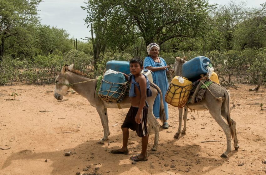 La crisis climática agrava la desigualdad en América Latina