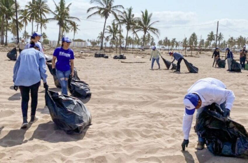 Sinaloa se suma a campaña para limpiar las playas y costas de México – El Financiero