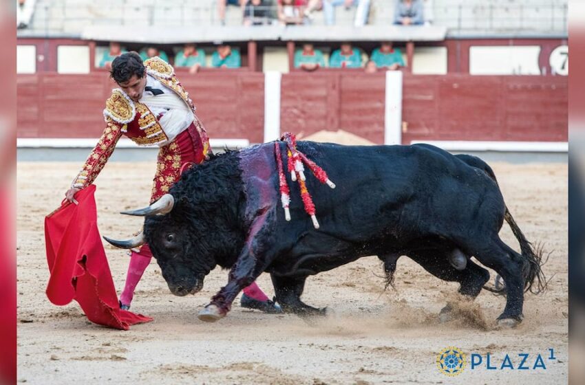 Heroico – El Financiero