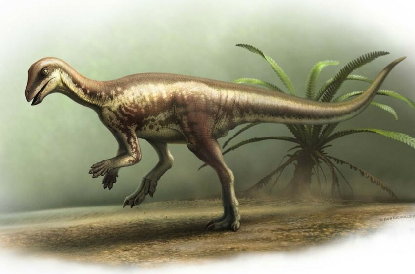 Descubrieron una nueva especie de dinosaurio del tamaño de un perro que desafía las teorías evolutivas