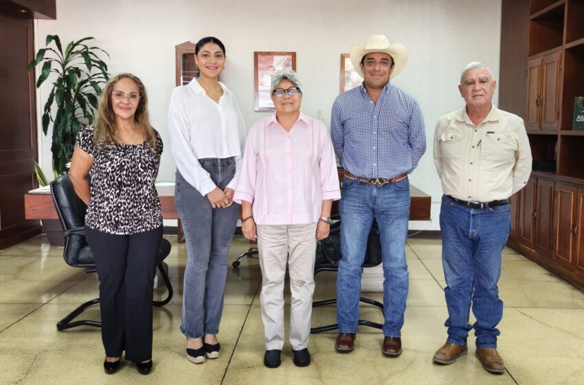 SEDAP expone a diputadas situación del Gusano Barrenador en la Frontera Sur – Diario de Tabasco