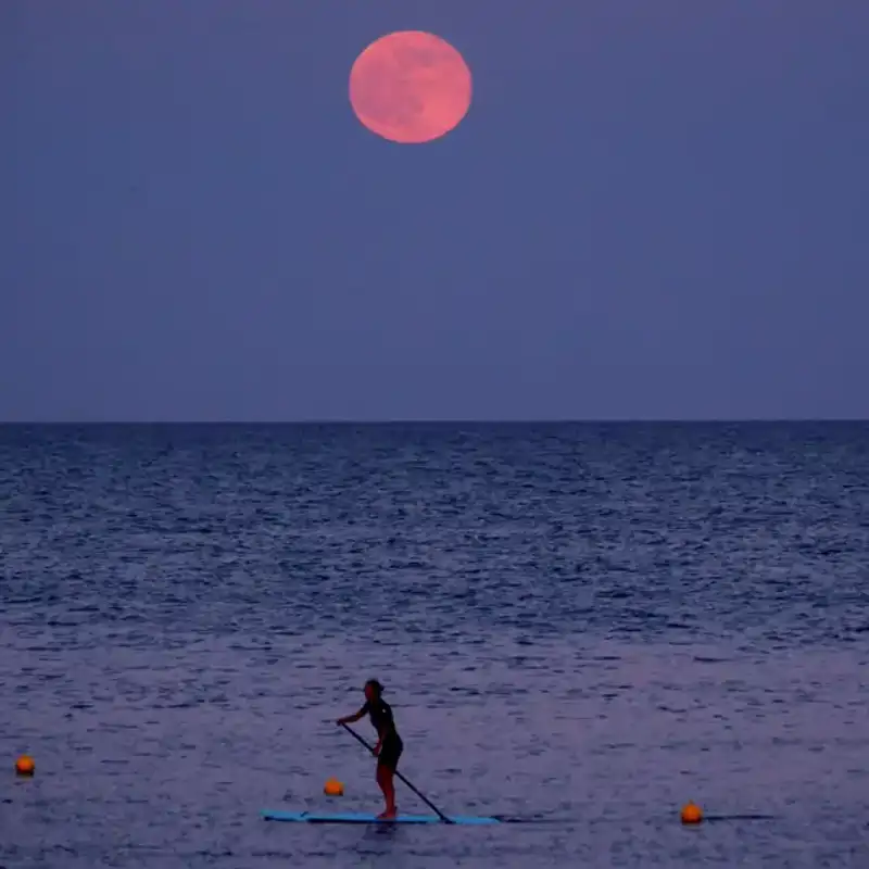 Luna de fresa 