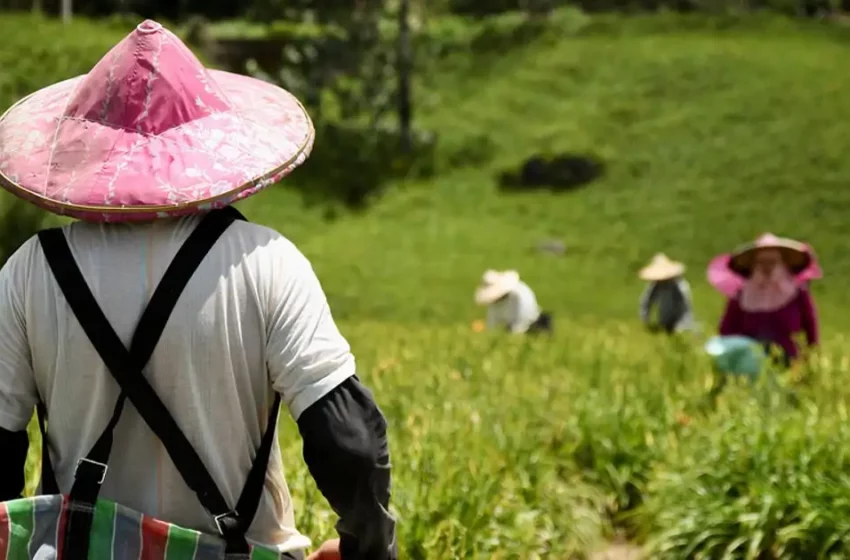 Solo hay un país en el mundo que produce suficiente comida para alimentar a toda su población