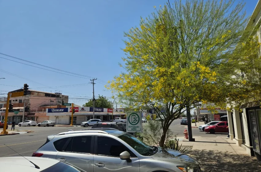 Una necesidad, asegurar futuro hídrico del sur de Sonora – Diario del Yaqui