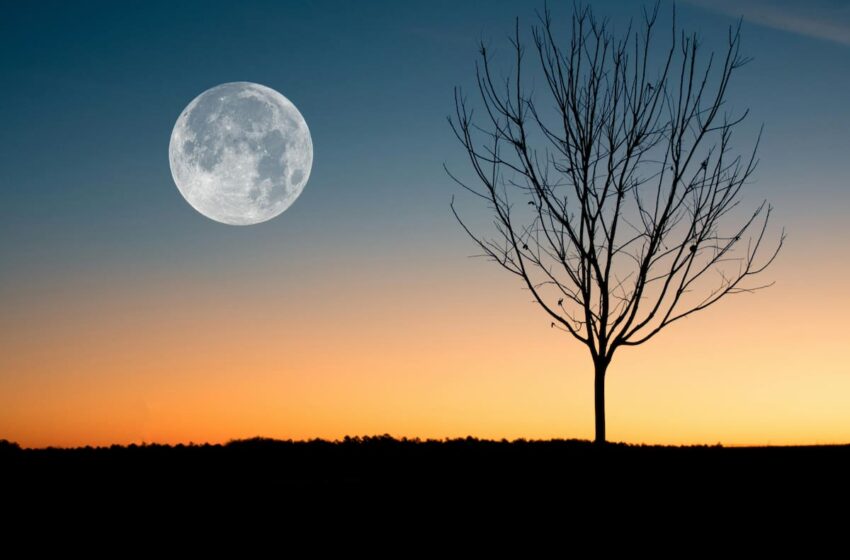 “Luna de fresa” de junio 2025: cuándo es
