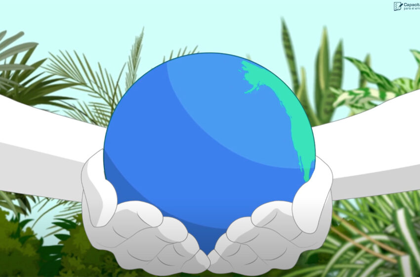 Aprende a tomar decisiones inteligentes en materia ambiental con este curso gratuito