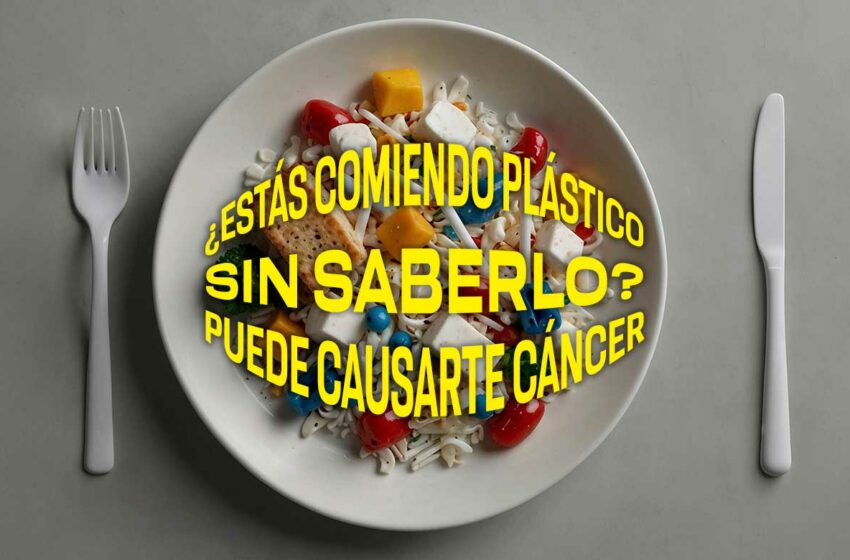 ¿El plástico puede causar cáncer de mama? Lo que revela una investigación
