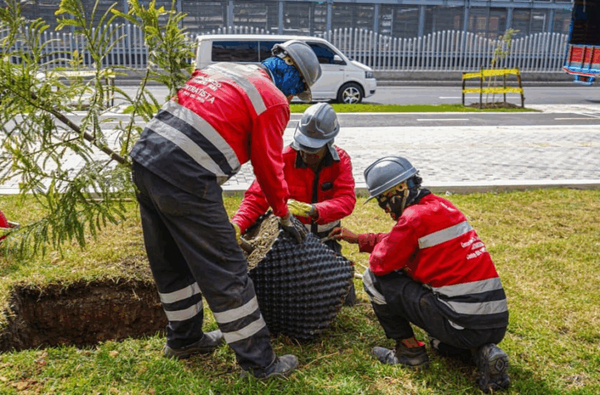  Día Mundial del Medio Ambiente: avanza construcción de una Bogotá más sostenible