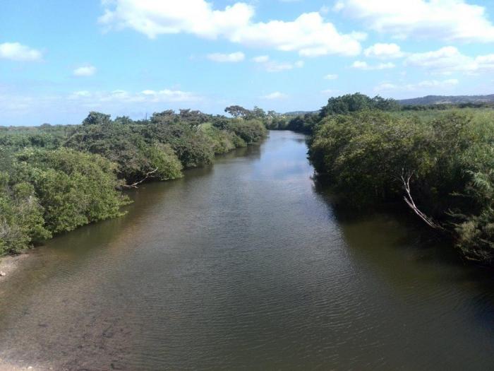 Sancti Spíritus, sede del Día Mundial del Medio Ambiente – Granma