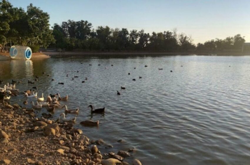 Clima Obregón, Sonora, HOY 15 de junio: Pronostican altas temperaturas y posibles lluvias