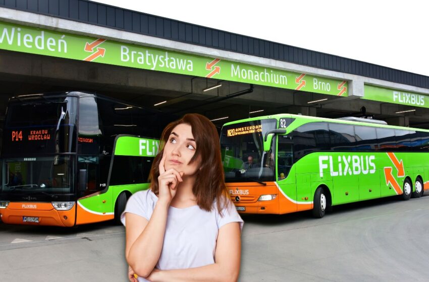 Cuáles son todas las rutas de Flixbus en México – Telediario