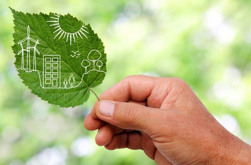 La Junta distingue con los Premios Andalucía de Medio Ambiente a referentes en sostenibilidad