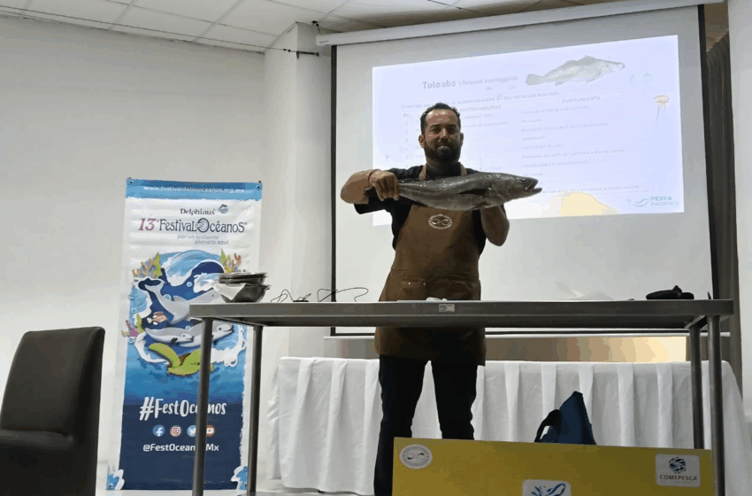 Quintana Roo Tiene Potencial Acuícola, Pero Falta Infraestructura y Apoyo