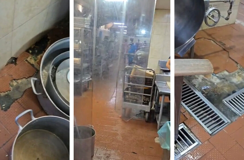 VIDEO: Denuncian condiciones deplorables, ratas y cucarachas en cocina de HGZ 6 del IMSS
