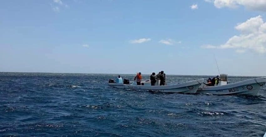 Abandonan buzos furtivos en mar; son rescatados por Marina en Yucatán – Milenio