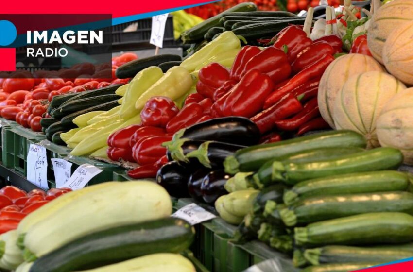 Día de la Gastronomía Sostenible: cómo comer bien y cuidar el planeta | IMAGEN RADIO