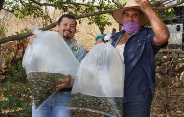 Fortalece Michoacán la pesca con 110 mil crías de tilapia