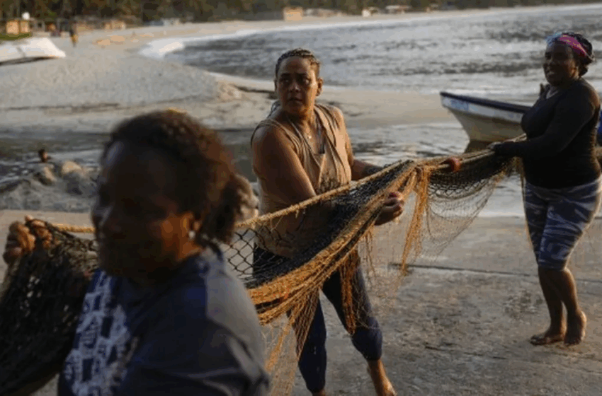Premio Nacional a la Pesca y Acuacultura para las mujeres, para relevar su contribución en …