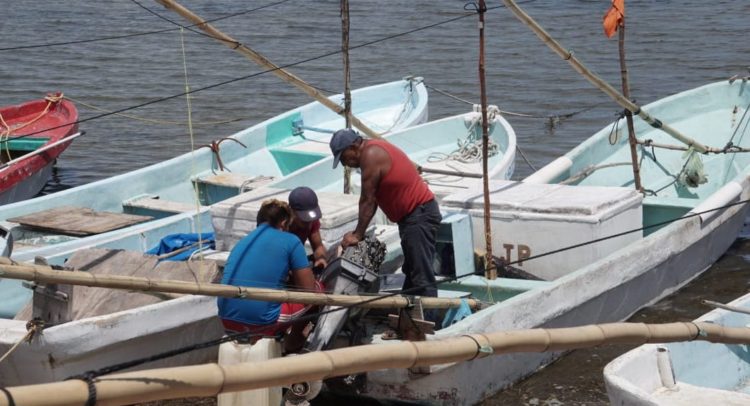  Fiscalía investiga robo de motores – Campeche HOY