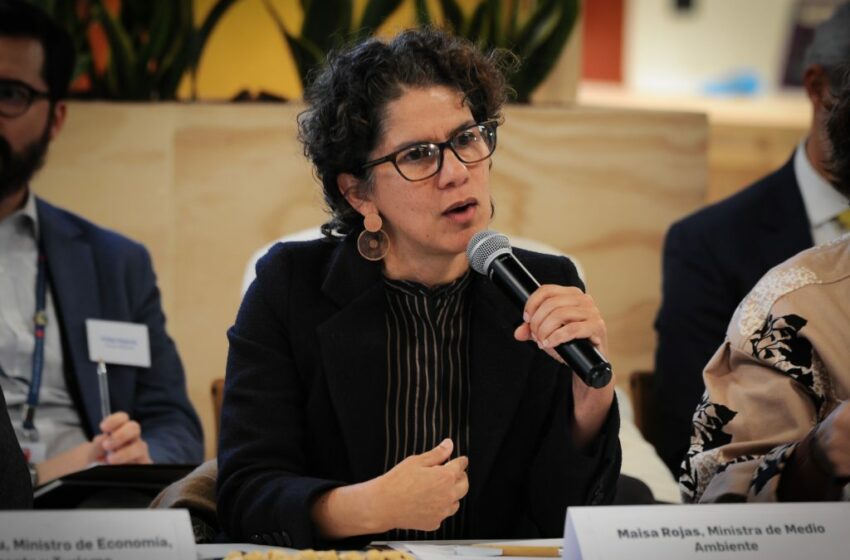 Ministerio de Medio Ambiente tras fallo del TC por Dominga: “Existen recursos pendientes …