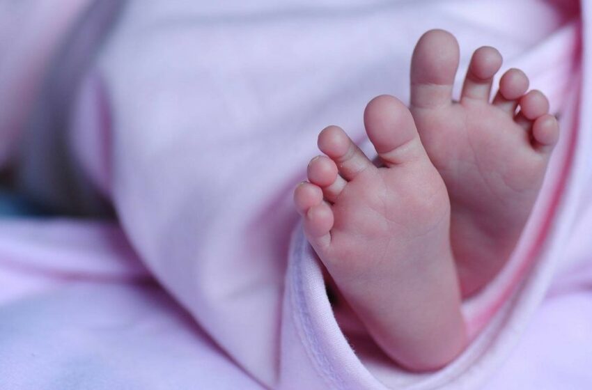 Tos ferina: Nuevo León registra cinco muertes de bebés en 2025 – Telediario