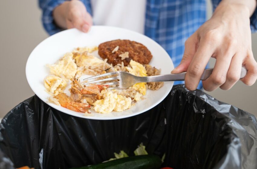 El desperdicio de comida impacta el bolsillo y el medioambiente – Telemundo 20