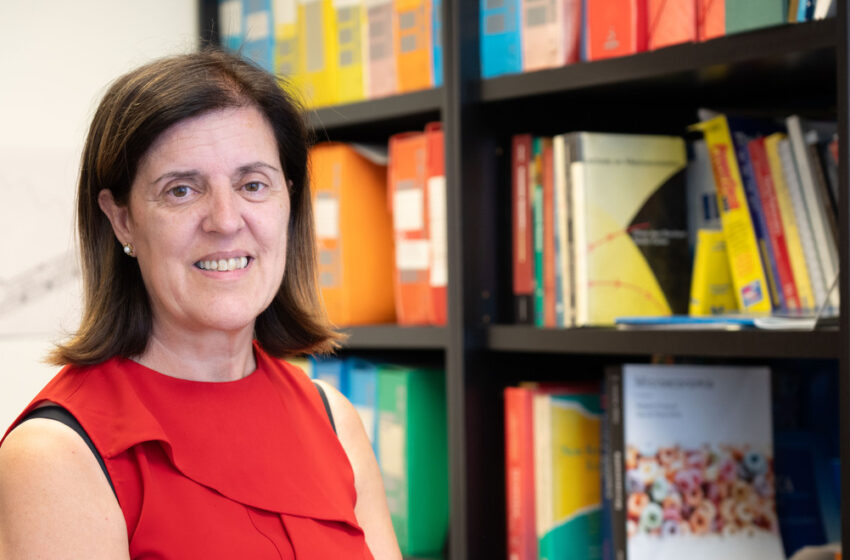 Fiscalidad ambiental: una vía efectiva para transformar el modelo de consumo alimentario