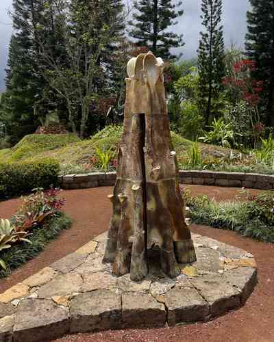 Elogia Elsa Naveda sentido del arte público en Xalapa