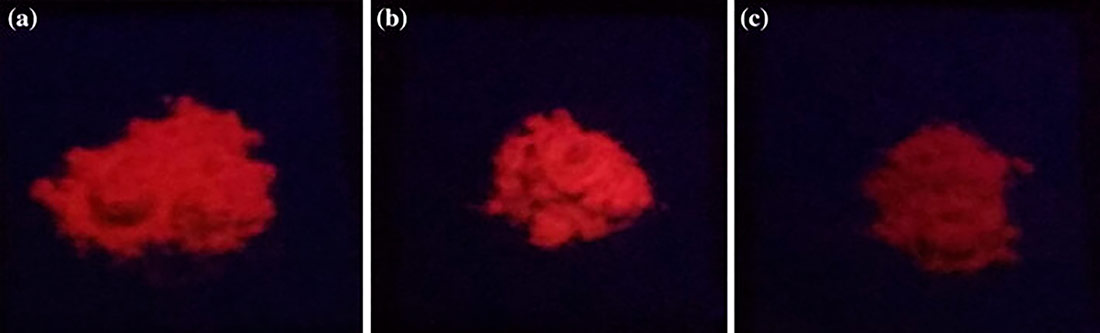 Síntesis y caracterización óptica de nanomateriales dopados con europio trivalente para aplicaciones de visualización.