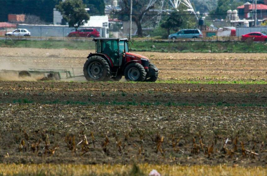 ¿Cosechando Soberanía?, de estado trata el nuevo programa del Bienestar – Excélsior