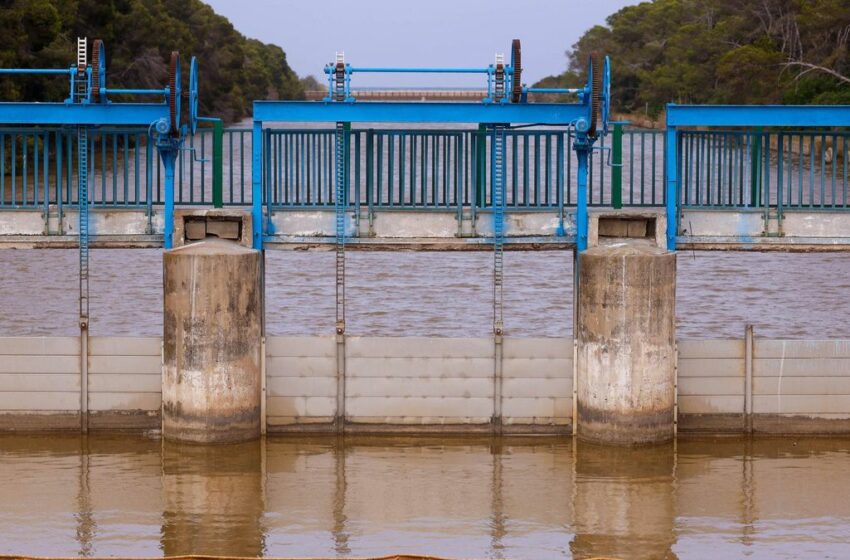 Medio Ambiente abre las compuertas de l'Albufera al recibir tras la dana de València 1 …